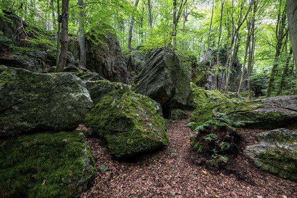 The Felsenmeer in Hemer, Sauerland, geotope, with rugged rock formations, nature reserve, North