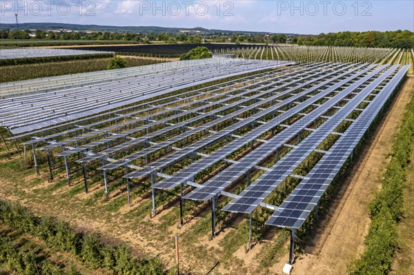 Agri-photovoltaic test plant, an apple orchard with two different systems of PV modules was roofed