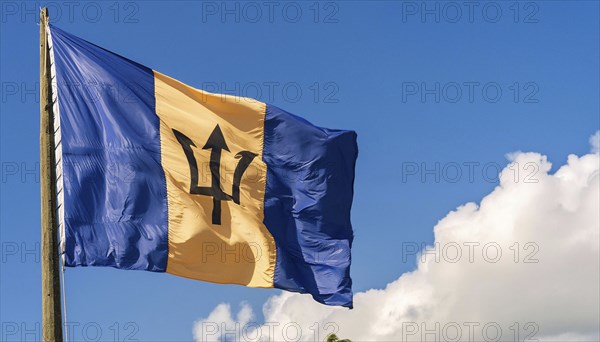 The Barbados flag flutters in the wind, isolated against a blue sky
