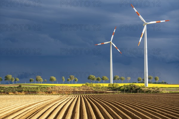 Wind turbines on a rape field, dark rain clouds, in the Rhenish lignite mining area, near