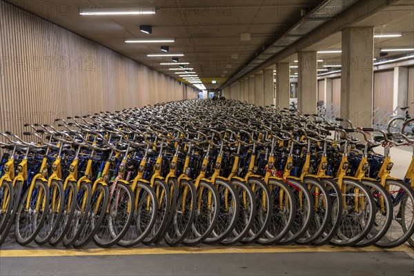 Bicycles at the OV-Fiets rental station, at Utrecht Central Station, hundreds of rental bikes