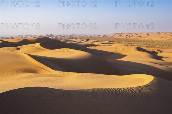 Sand dunes in the desert, near Duqm, Oman, Asia