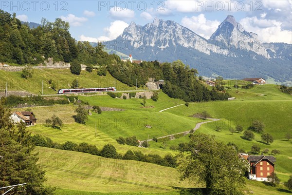 Railway passenger train of the type Stadler Flirt of the Südostbahn on the mountain GroÃŸer Mythen