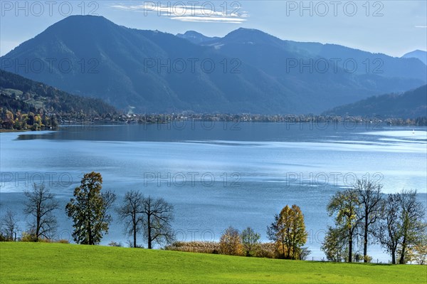 Tegernsee with Wallberg, green meadow, trees as silhouette on the shore, Mangfall mountains,