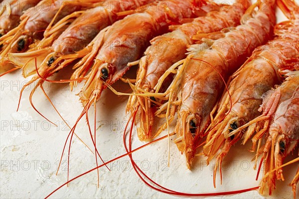 Langoustines, Australian, freshly frozen langoustines, on a light background, top view