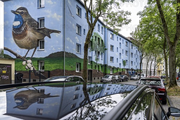 Residential buildings on Feldsieper StraÃŸe in Bochum, after an energy-efficient refurbishment,