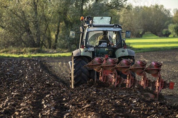 Farmer ploughing a field, tractor with plough, near Neuss, North Rhine-Westphalia, Germany, Europe