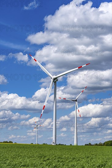 Wind farm, wind turbine, wind turbines from the manufacturer Enercon, blue sky with many white