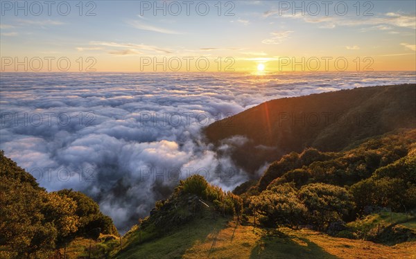 Aerial panorama of sunrise above clouds and green hills at Fanal mountain, Madeira island,