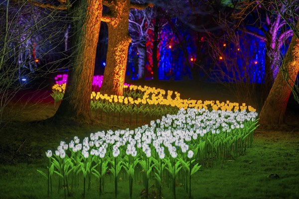 Parkleuchten, event in winter, in the Grugapark in Essen, many different light installations,