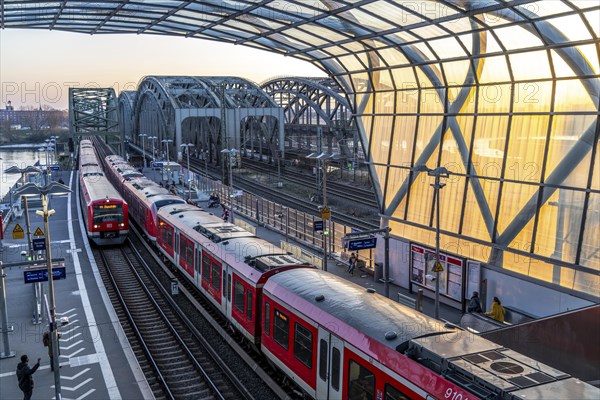 Elbbrücken S-Bahn station, the S3 and S5 S-Bahn trains run here, Commuter, Hamburg Germany