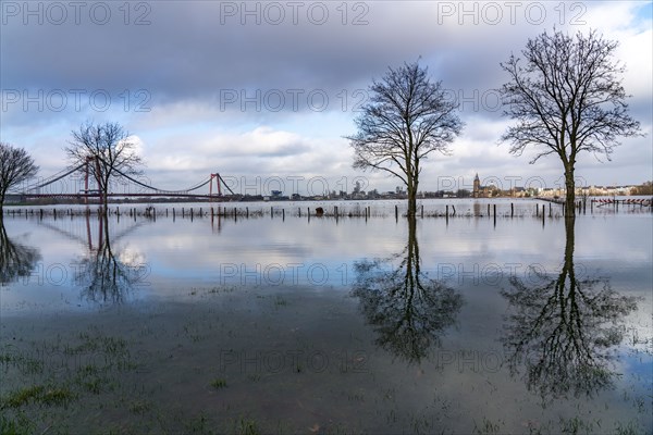 Flood on the Rhine, flooded Rhine meadows, fields, Rhine bridge Emmerich, road bridge of the B220,