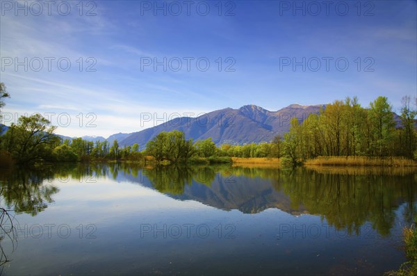 Mirror Image on an Alpine Lake Maggiore with Trees and Mountain in a Sunny Day in Locarno, Ticino,