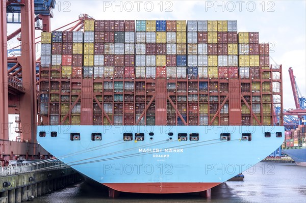 Magleby Maersk container freighter at EUROGATE Container Terminal, Waltershofer Hafen, one of the