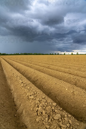 Dark rain clouds, thunderclouds over a potato field, near Grevenbroich, North Rhine-Westphalia,