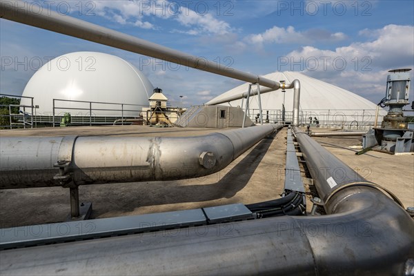 Biogas plant, gas storage, with dome, use of solid manure as energy source, gas pipelines, on a