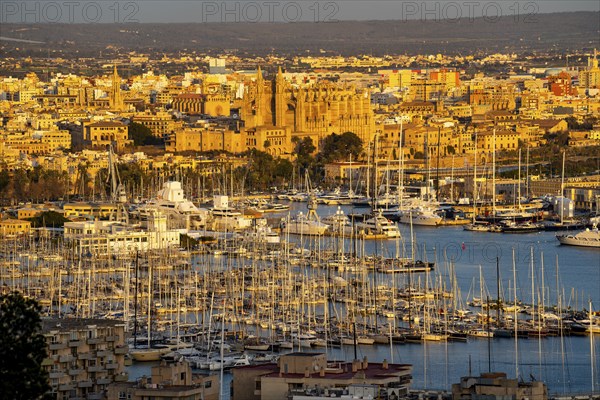 Panorama of Palma de Majorca, Bay of Palma, with the marina and the Cathedral of St Mary, Balearic