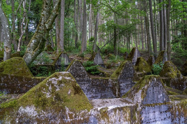 Remains of the Westwall across the Grölisbach, near Roetgen, 100 metre long anti-tank barrier