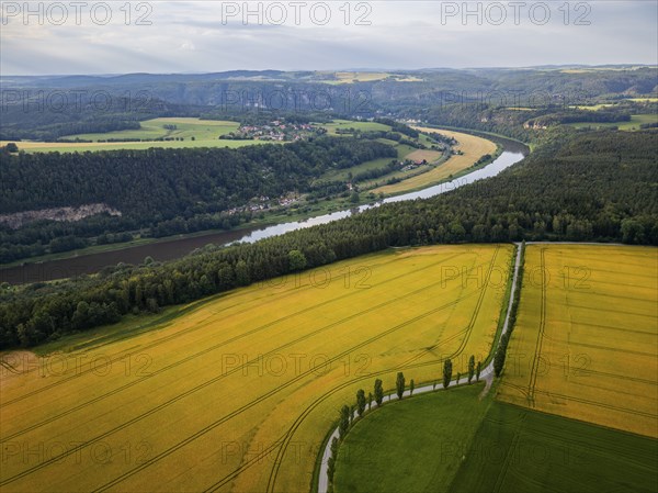 Level view over the Elbe valley to Rathen, Saxon Switzerland, Königstein, Saxony, Germany, Europe