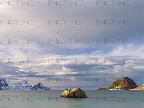 Rocks with birds on Haukland beach, snow-covered mountains in the background, Vestvagoya, Lofoten,