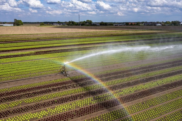 A field is artificially irrigated, water is sprayed onto the field via an irrigation system, field