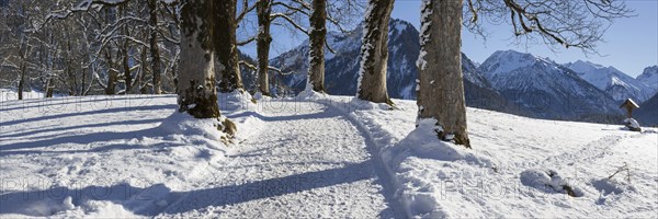 Winter hiking trail at the Hofmannsruh viewpoint above Oberstdorf, OberallgÃ¤u, AllgÃ¤u, Bavaria,