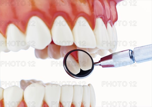 The model of a set of teeth is examined, dentist, dentist, dental laboratory