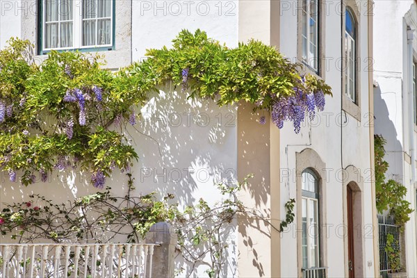 Scenic Cascais streets in historic center