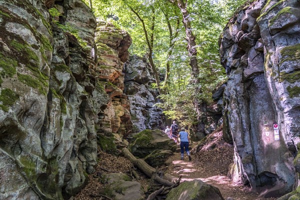 The Devil's Gorge, narrow, accessible gorge of sandstone rocks, with steep rocky gorges, near