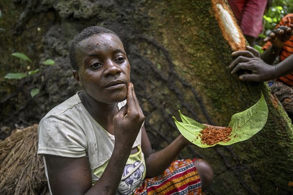 Pygmy woman of the Baka or BaAka people smearing tree bark on her face, cosmetics, Dzanga-Sangha