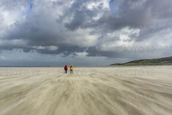 North Sea, Spiekeroog Island, autumn, strong wind drives the sand over the mudflats at low tide,