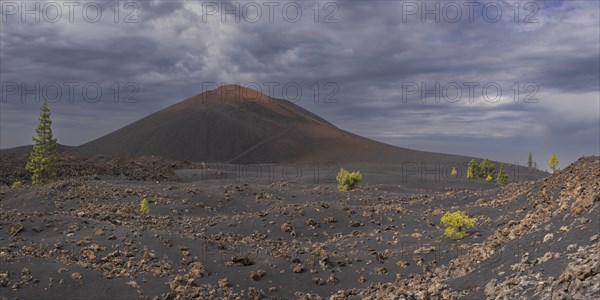 Chinyero volcano, Arena Negras zone, Teide National Park, Tenerife, Canary Islands, Spain, Europe