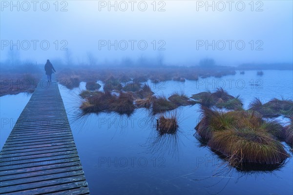 The High Fens nature park Park, in the German-Belgian border region near Eupen, winter, fog, wooden