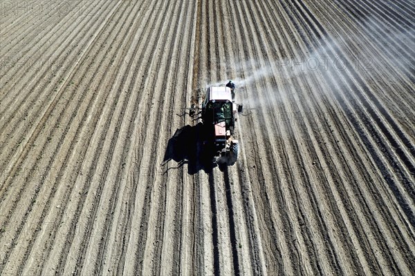 Tractor dragging a plume of dust behind it while working a potato field, Münchenberge, 20/05/2020