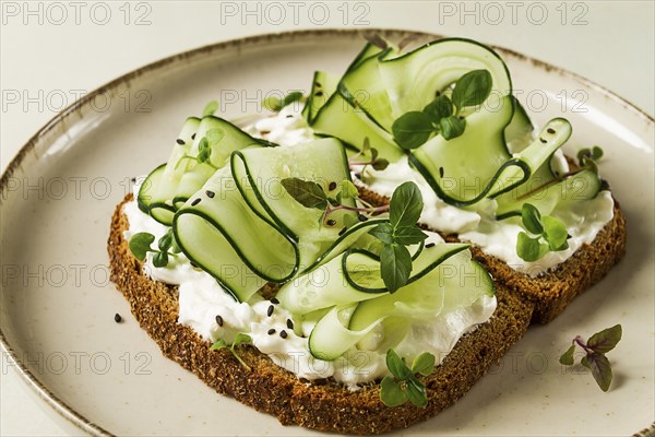Breakfast, cereal bread sandwiches, cream cheese, sliced cucumber, with micro greenery on a light