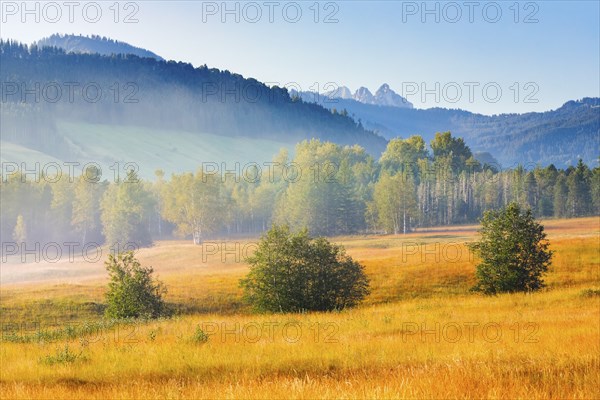 View over the Rothenthurm upland moor in autumn with the Mythen mountain peaks in the background,