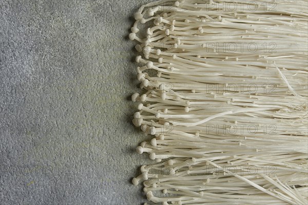 Enoki mushrooms, raw, top view, close-up