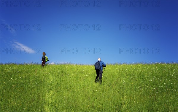 Hiker in a meadow on a mountain, Bad Vigaun, Austria, Europe