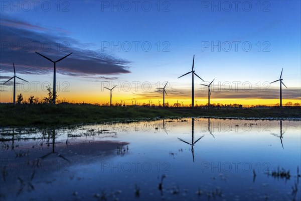 Wind farm near Holzweiler, town of Erkelenz, wind turbines, rain puddle, North Rhine-Westphalia,