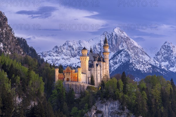 Neuschwanstein Castle near Füssen, Schwangau, AllgÃ¤u Alps, night shot, illuminated, snow, East