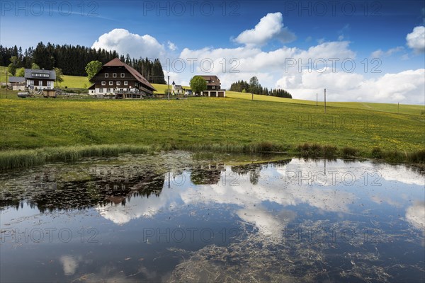 Farms and flowering meadow, Thurner, near St MÃ¤rgen, Black Forest, Baden-Württemberg, Germany,