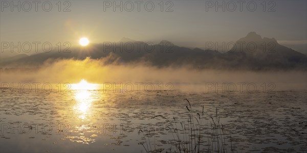 Sunrise at Lake Hopfensee near Füssen, behind Hopfen am See, the Tegelberg massif and the SÃ¤uling,