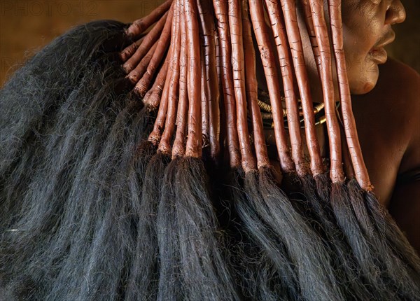 Hair in traditional hairstyle of a Himba woman, detail near Opuwo, Kaokoveld, Kunene, Namibia,