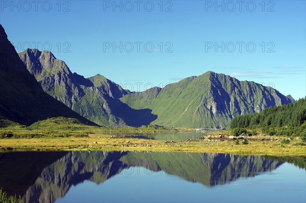 Mountains reflected in the water of an inlet, Leknes, Vestvagoy, Lofoten, Nordland, Norway, Europe