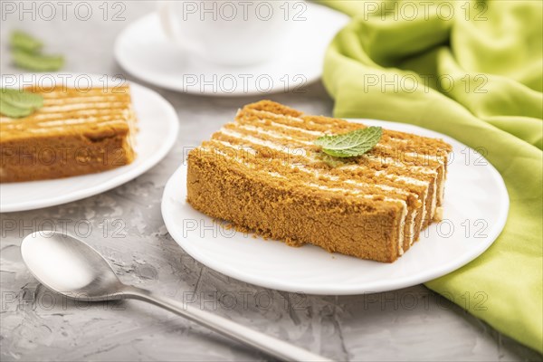 Homemade honey cake with milk cream and mint with cup of coffee on a gray concrete background and