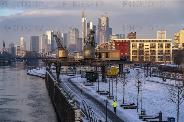 The skyline of Frankfurt am Main, skyscrapers of the banking district, historic harbour cranes at