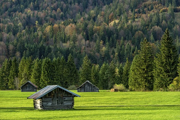 Green meadow with log cabins, wooden hay huts, forest, mountain, Wallgau, Upper Bavaria, Bavaria,