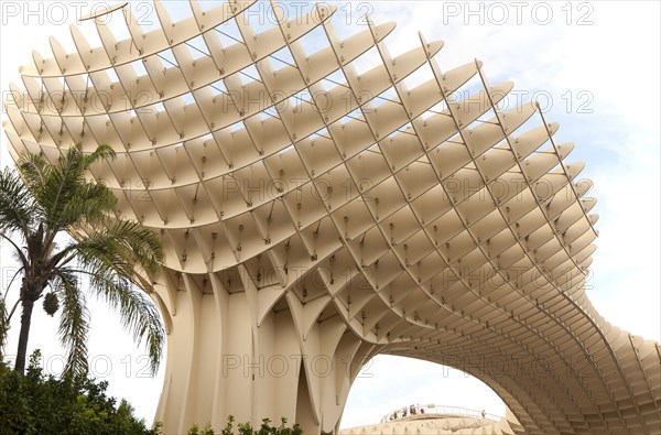 Metropol Parasol wooden structure in Plaza La Encarnacion, Seville, Spain, architect Jürgen