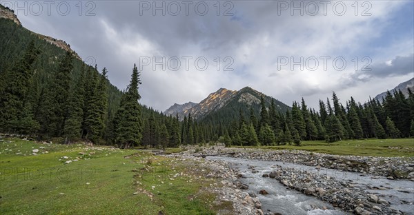 Green mountain valley with forest and mountain stream, Chong Kyzyl Suu Valley, Terskey Ala Too,