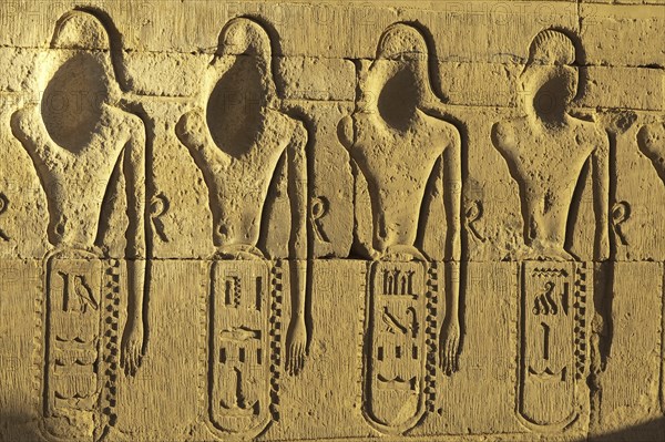 Egypt, Kom Ombo. Temple of Kom Ombo, Cairo, Egypt, Africa